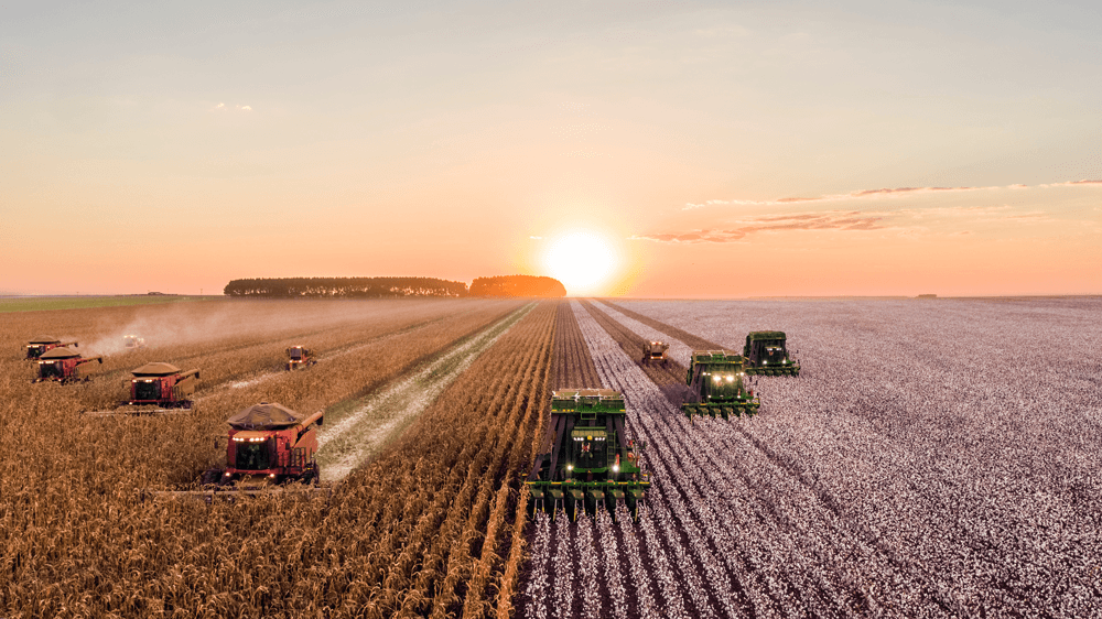 Cenário positivo para a produção da indústria de alimentos em 2019, segundo ABIA